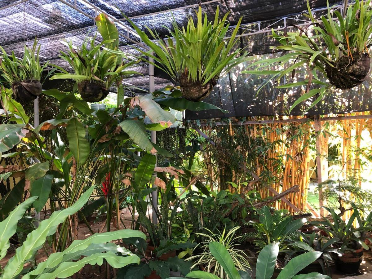 Strutz Art Garden Resort Bangued Eksteriør bilde